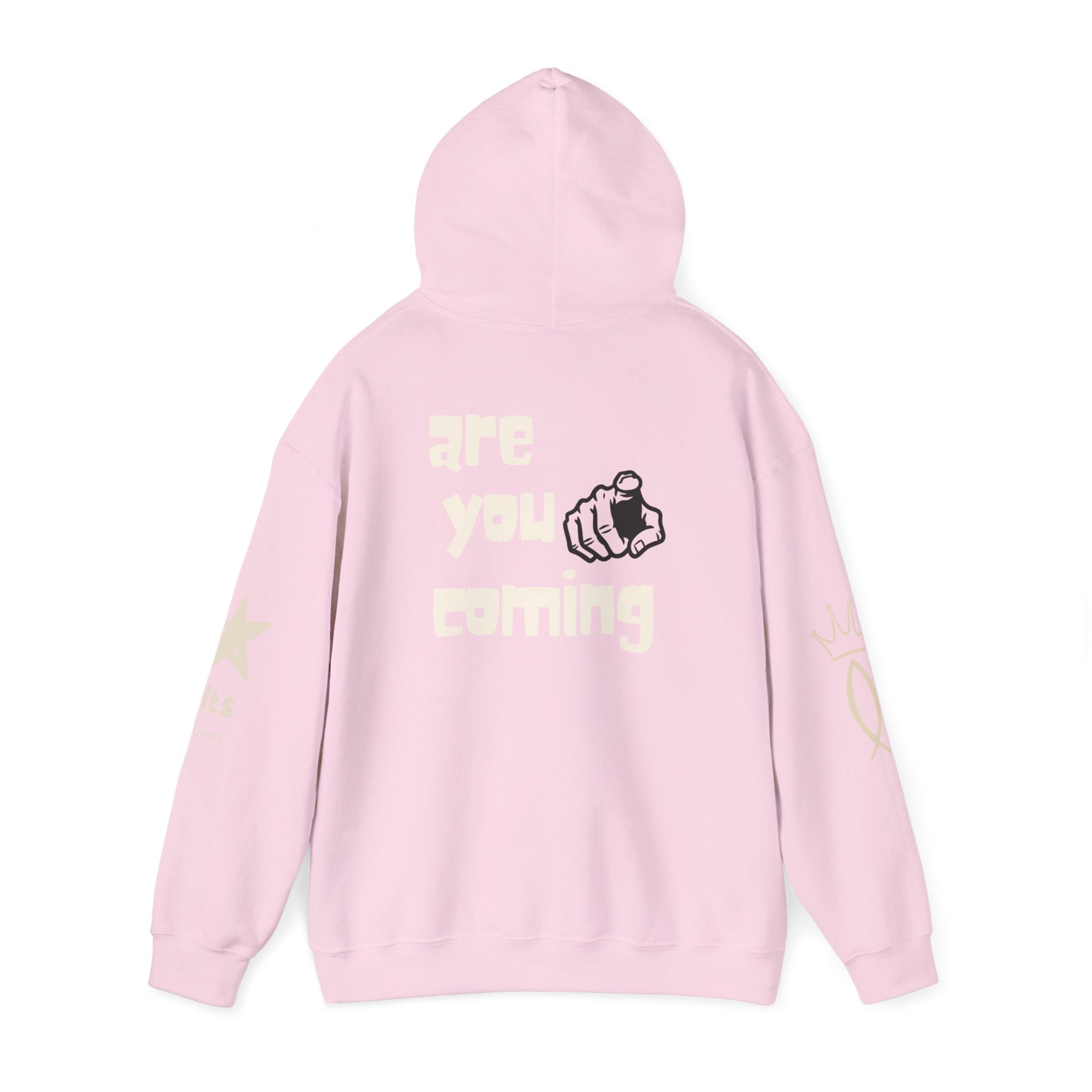Unisex Hoodie – Retro Are You Coming?